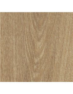 Natural giant oak