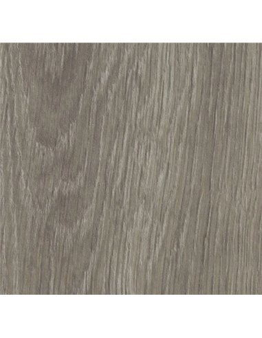 Grey giant oak