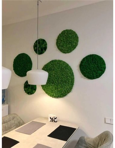 Панно із стабілізованого моху 60 см