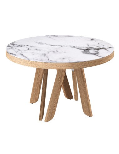 Обідній стіл Rion