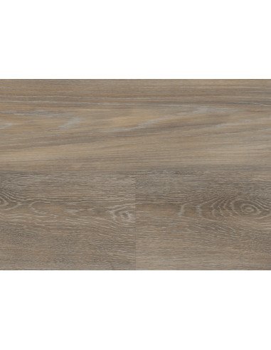 Balearic Wild Oak